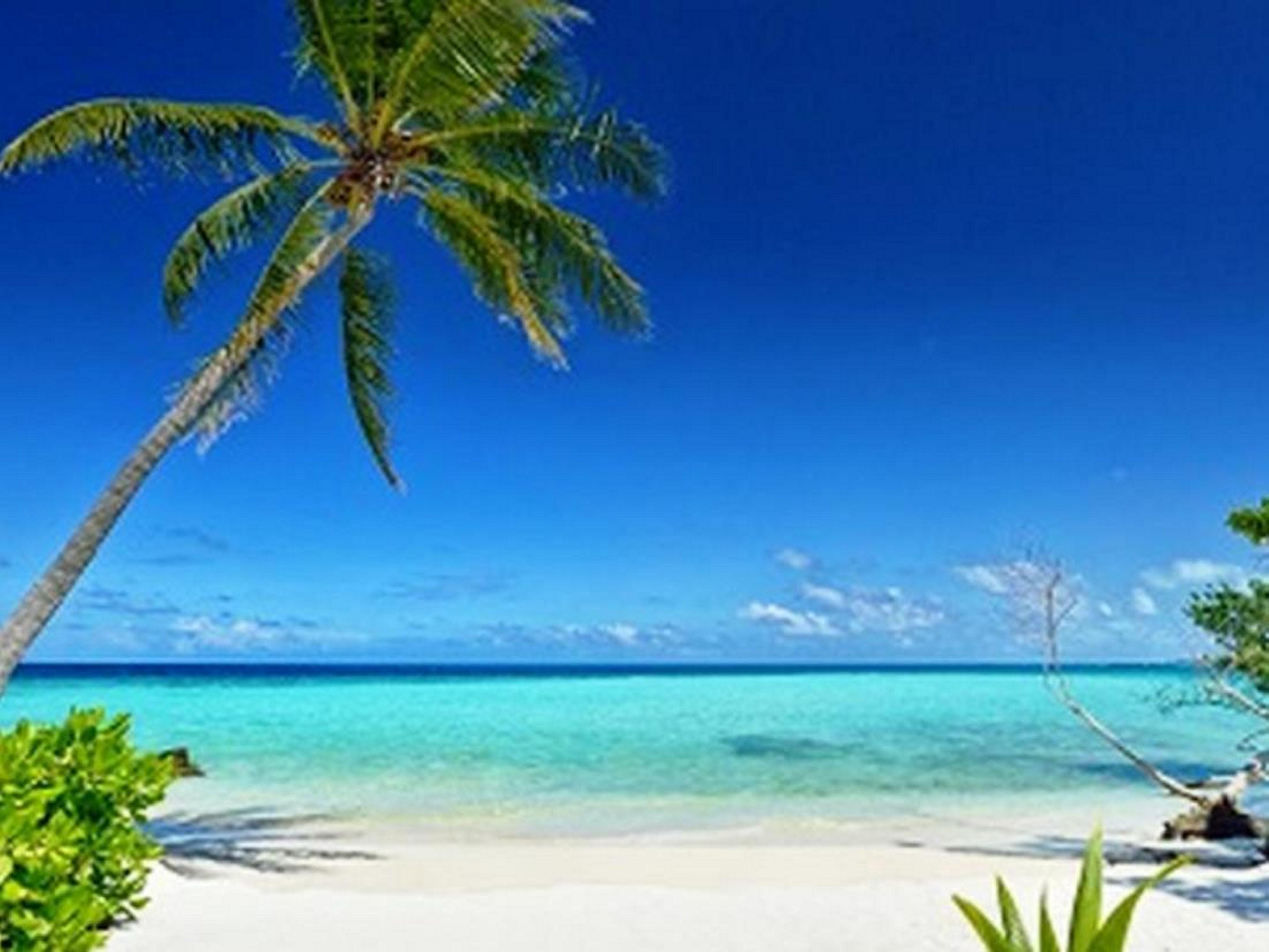 Whiteshell Island Hotel & Spa Maafushi Exterior photo